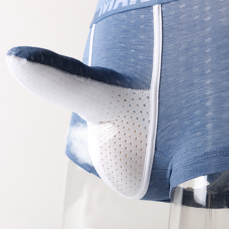 Men's Ice Silk Boxer Briefs, B - Mesh Sport Boxer 리뷰 및 가격