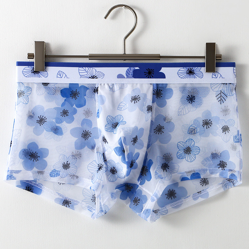 Ultra Thin Transparent Ice Sil - Mesh Sport Boxer 리뷰 및 가격