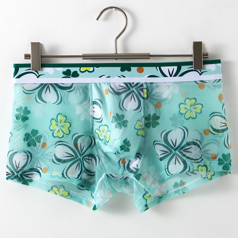 Ultra Thin Transparent Ice Sil - Mesh Sport Boxer 리뷰 및 가격