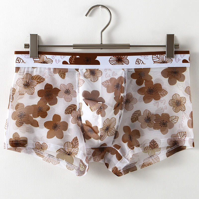 Ultra Thin Transparent Ice Sil - Mesh Sport Boxer 리뷰 및 가격