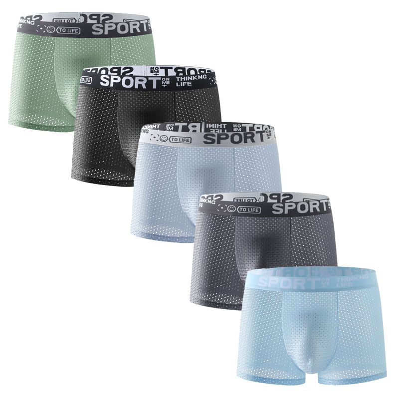 5PCS Men's Ice Silk Mesh Boxer - Mesh Sport Boxer 리뷰 및 가격