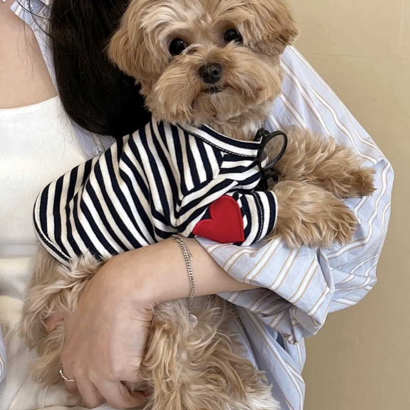 Dog Vest for Small Dogs Pet Do - Sleeveless Undershirt 리뷰 및 가격