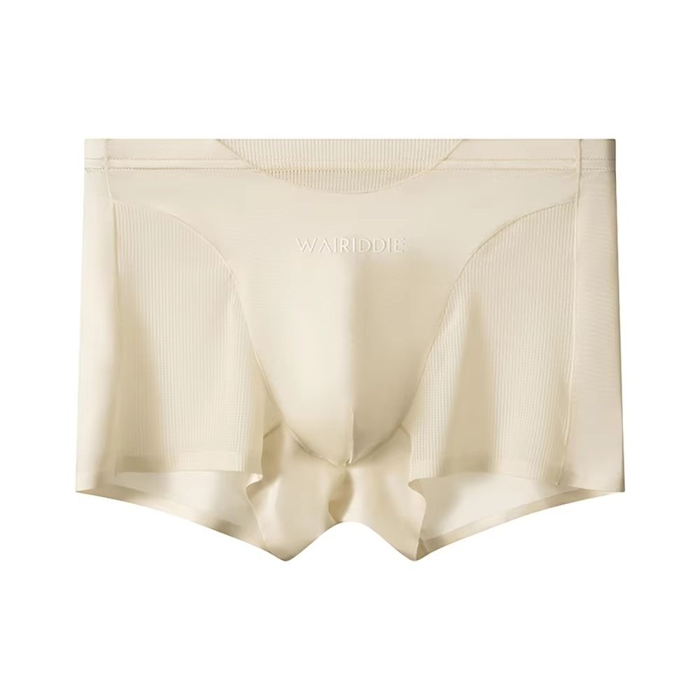 Simple Mesh Ice Silk Underwear - Mesh Sport Boxer 리뷰 및 가격