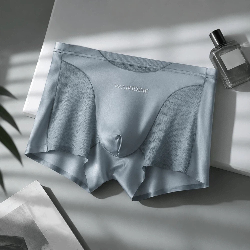Simple Mesh Ice Silk Underwear - Mesh Sport Boxer 리뷰 및 가격