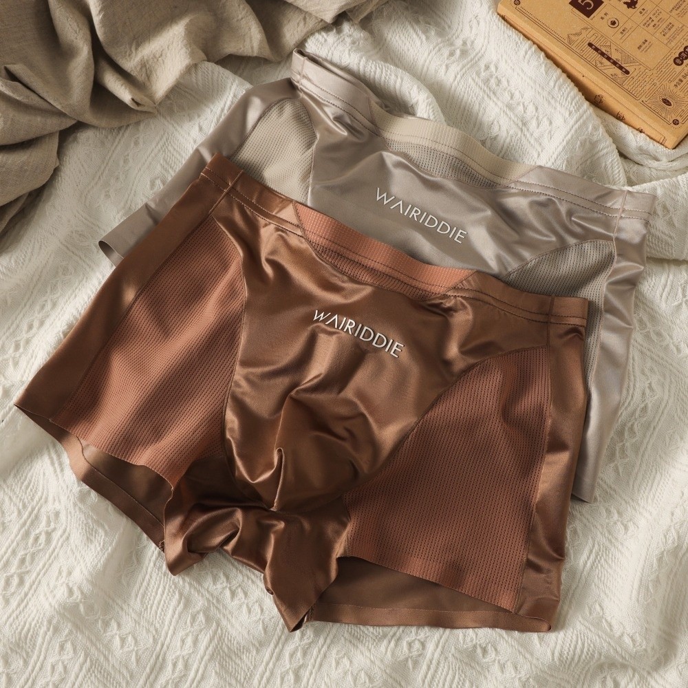 Simple Mesh Ice Silk Underwear - Mesh Sport Boxer 리뷰 및 가격